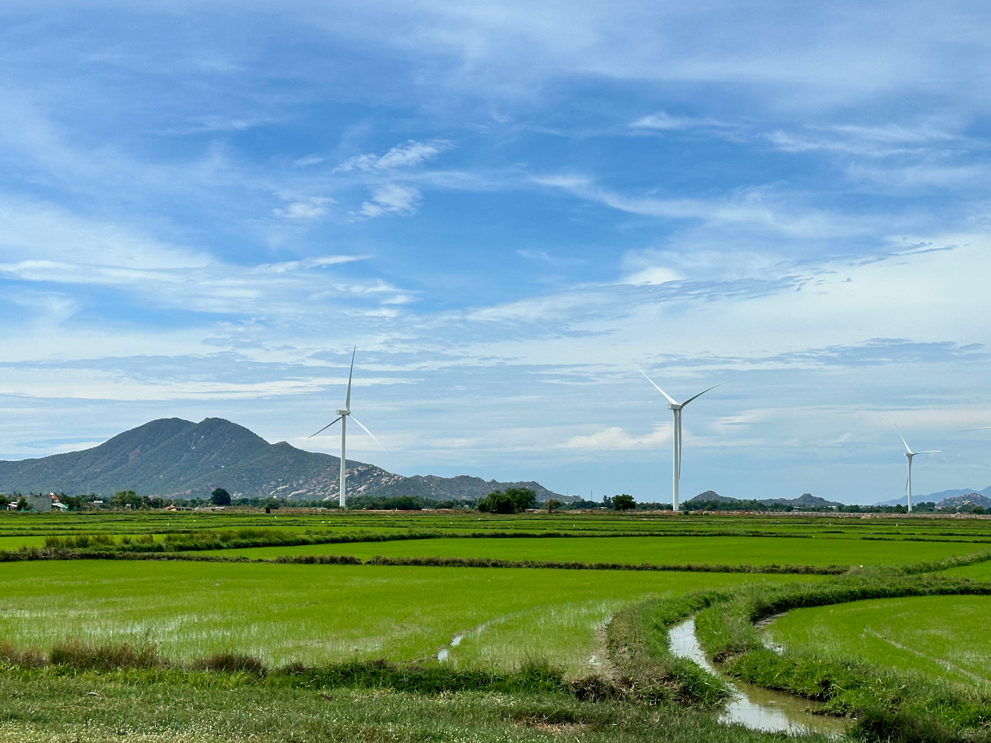 Environmental Sustainability